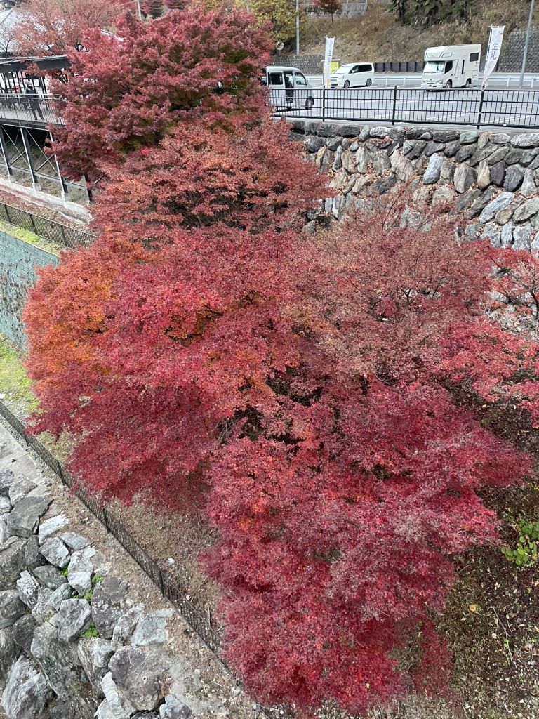 道の駅 万葉の里の写真