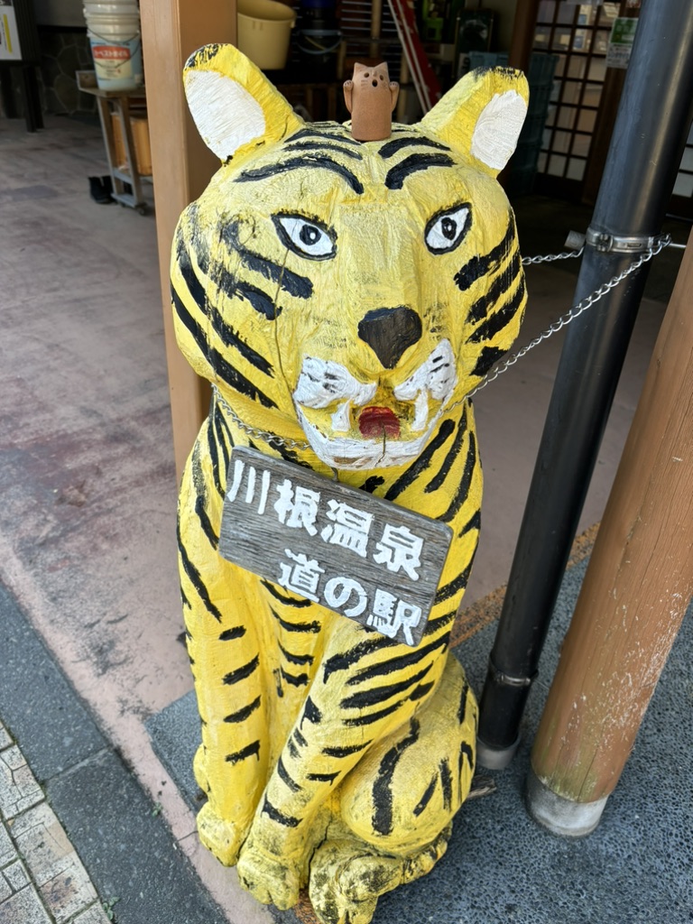 道の駅 川根温泉の写真
