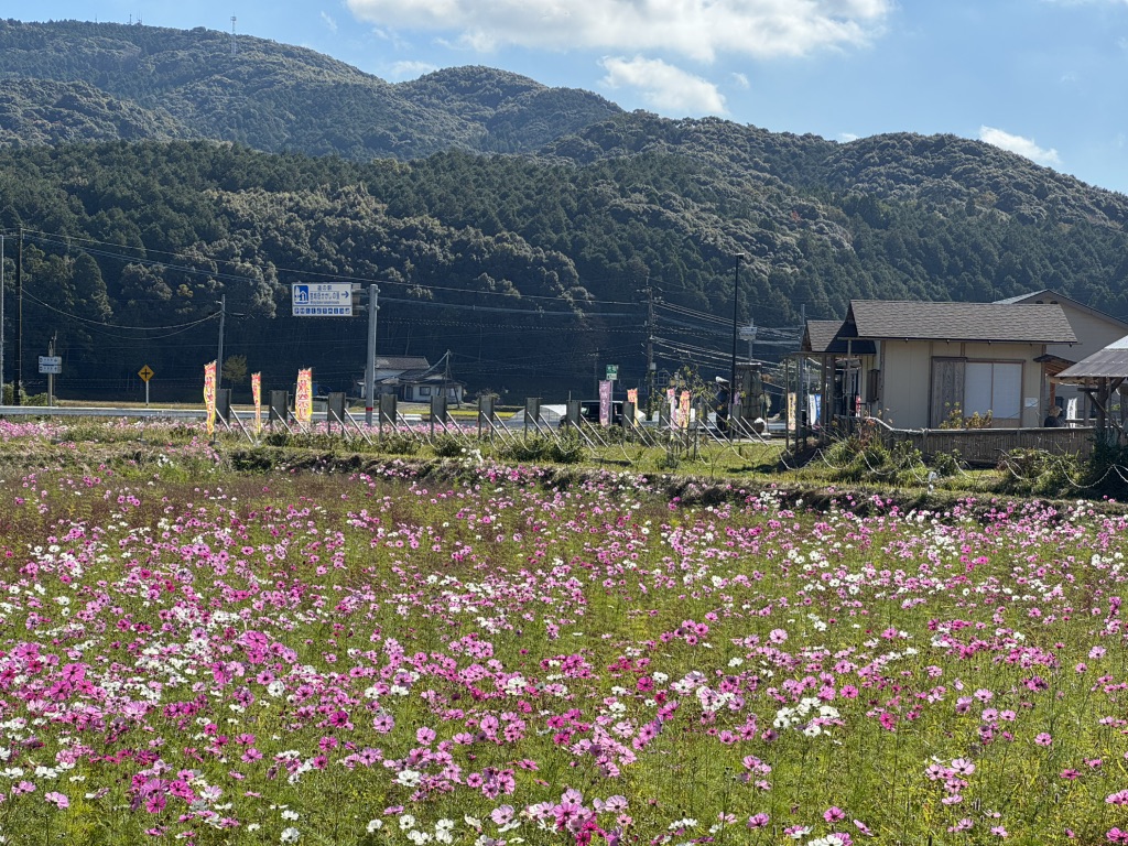 道の駅 宮地岳かかしの里の写真