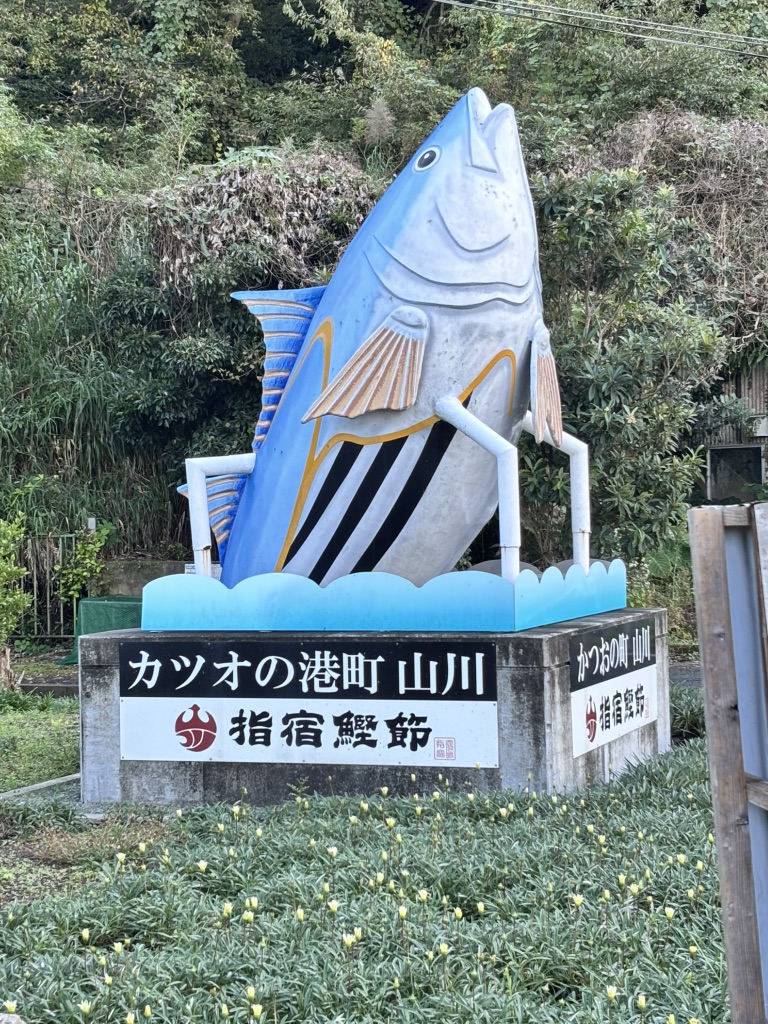 道の駅 山川港活お海道の写真