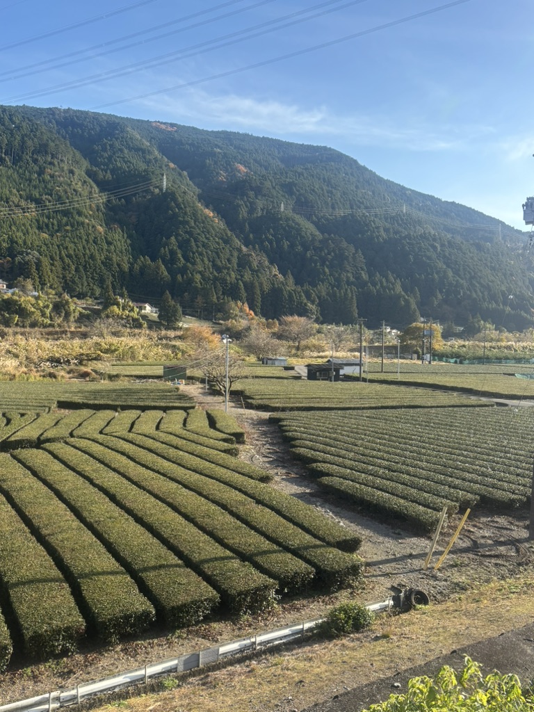 道の駅 フォーレなかかわね茶茗舘の写真