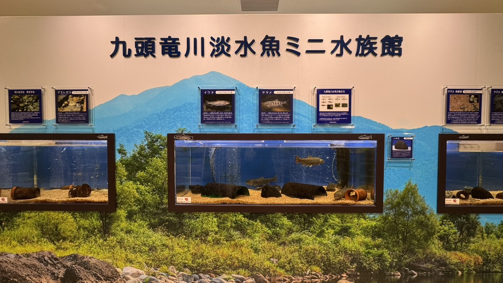 道の駅 越前おおの荒島の郷の写真