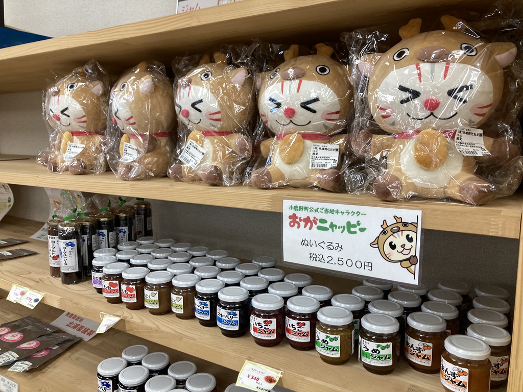 道の駅 両神温泉薬師の湯の写真
