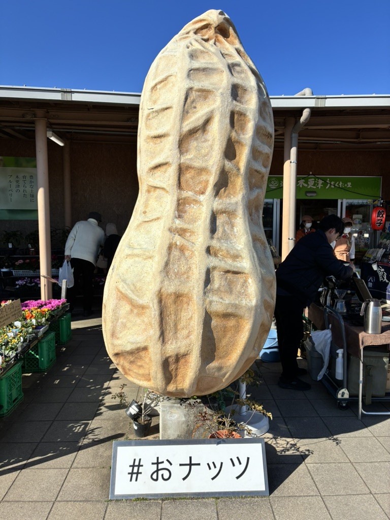 道の駅 木更津うまくたの里の写真