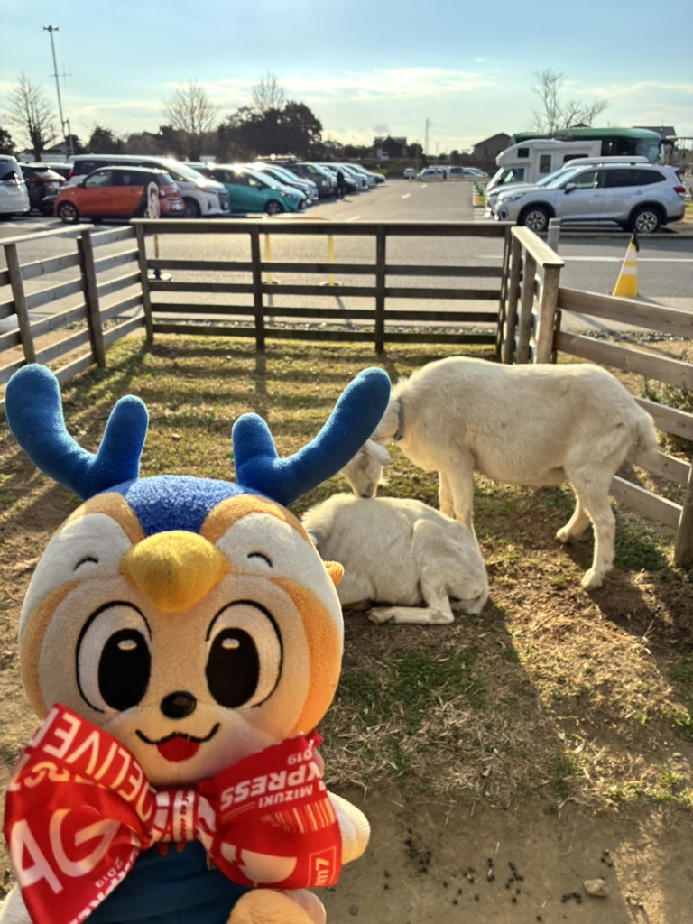 道の駅 保田小学校の写真