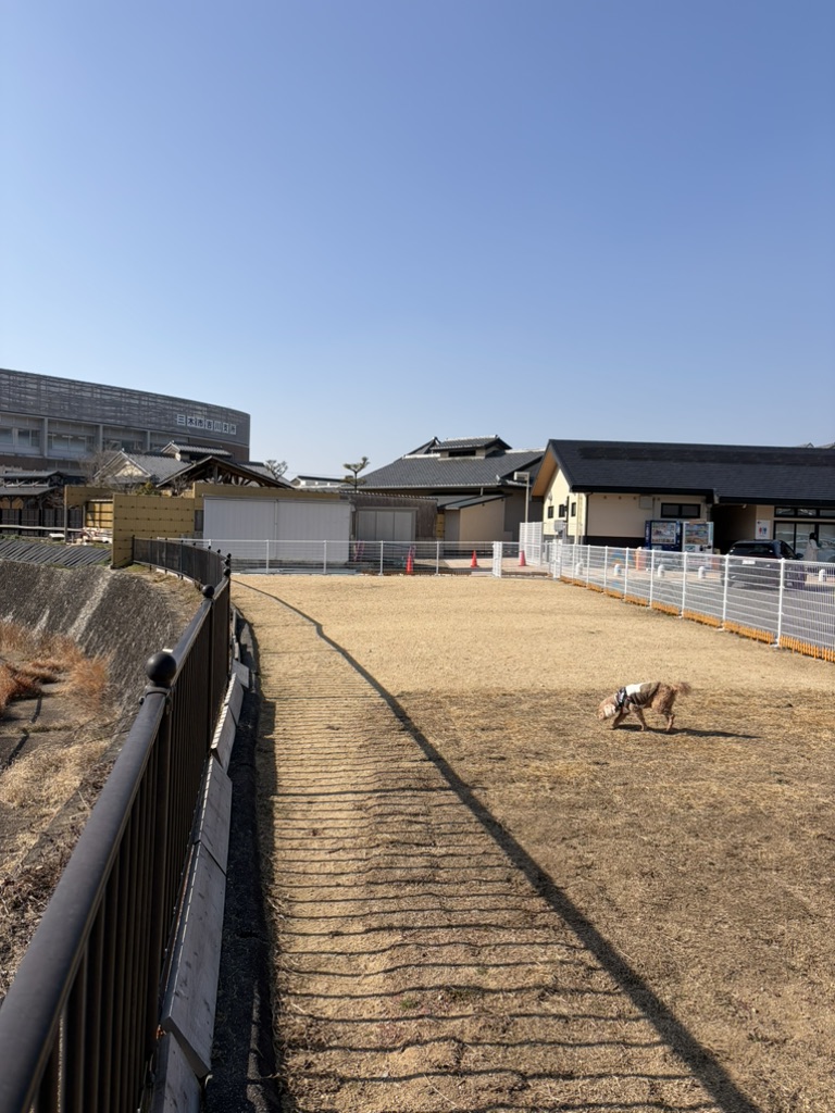 道の駅 よかわの写真