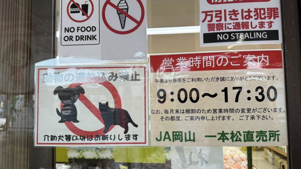 道の駅 一本松展望園の写真