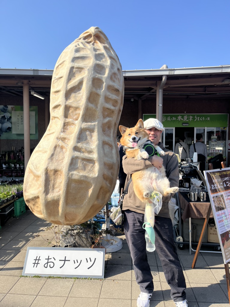 道の駅 木更津うまくたの里の写真