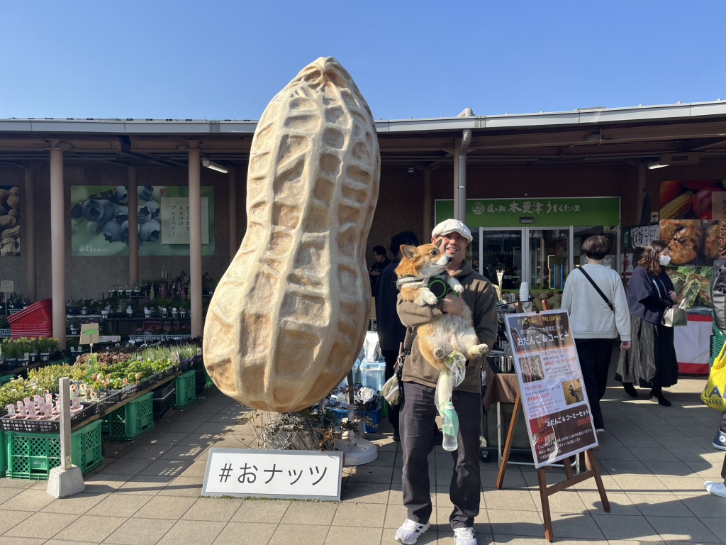 道の駅 木更津うまくたの里の写真