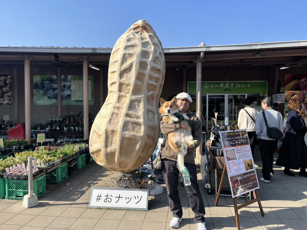 道の駅 木更津うまくたの里の写真