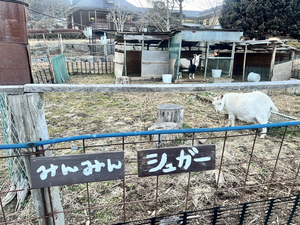 道の駅 こすげの写真