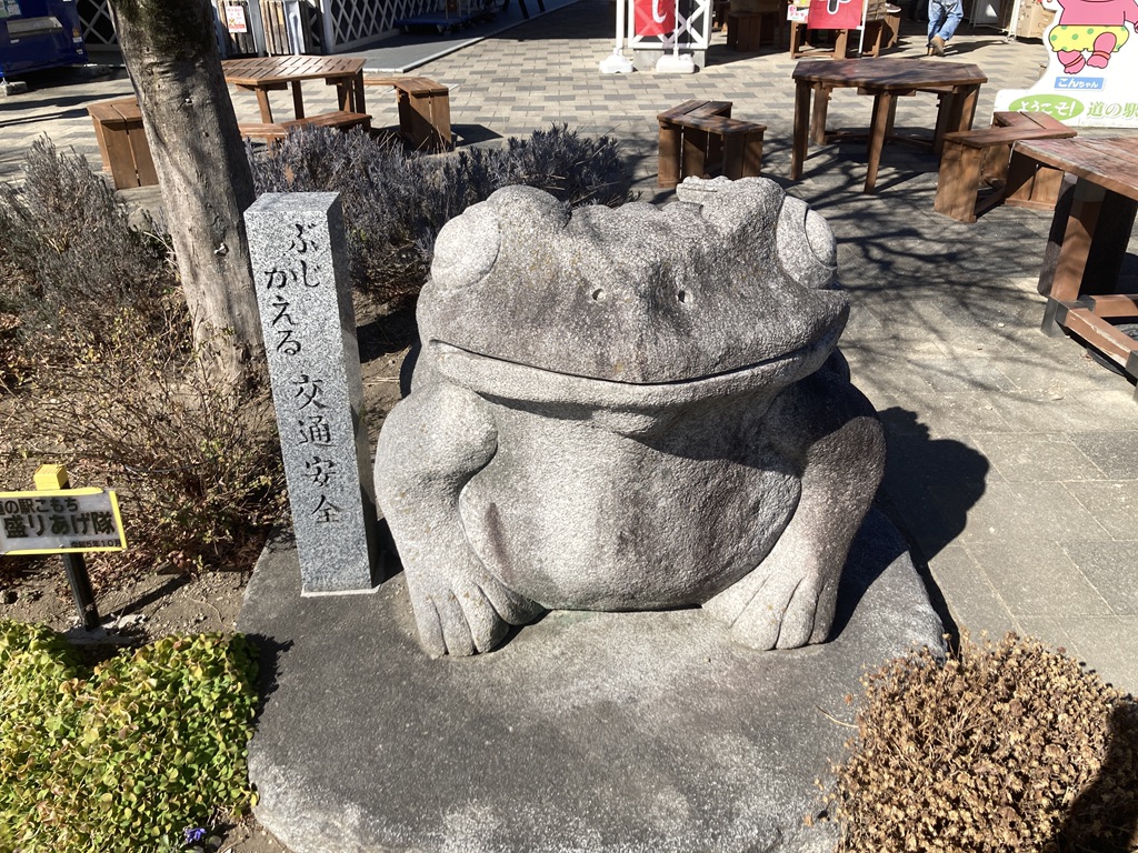 道の駅 こもちの写真