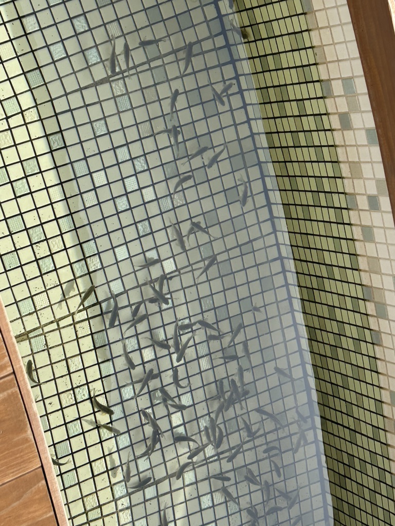道の駅 おがわら湖の写真
