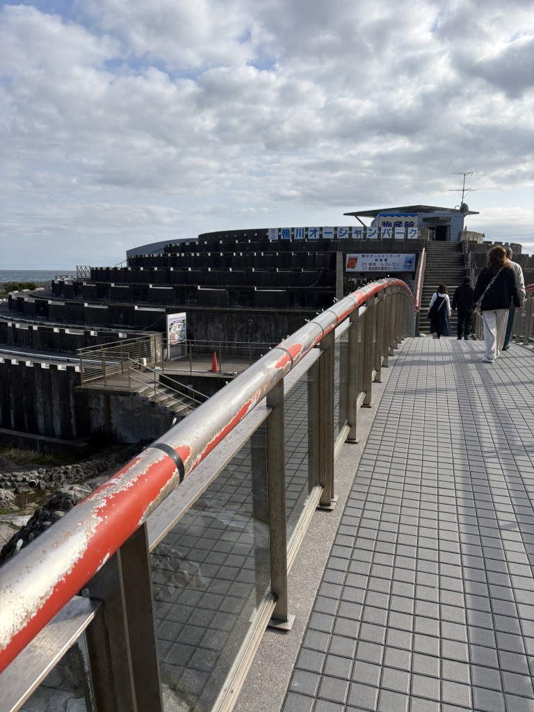 道の駅 鴨川オーシャンパークの写真