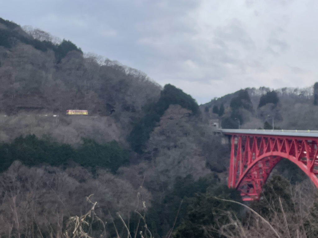 道の駅 奥出雲おろちループの写真