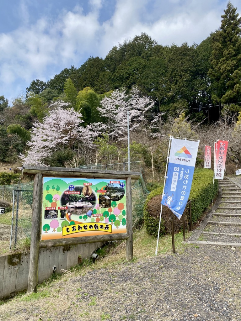 道の駅 平成の写真