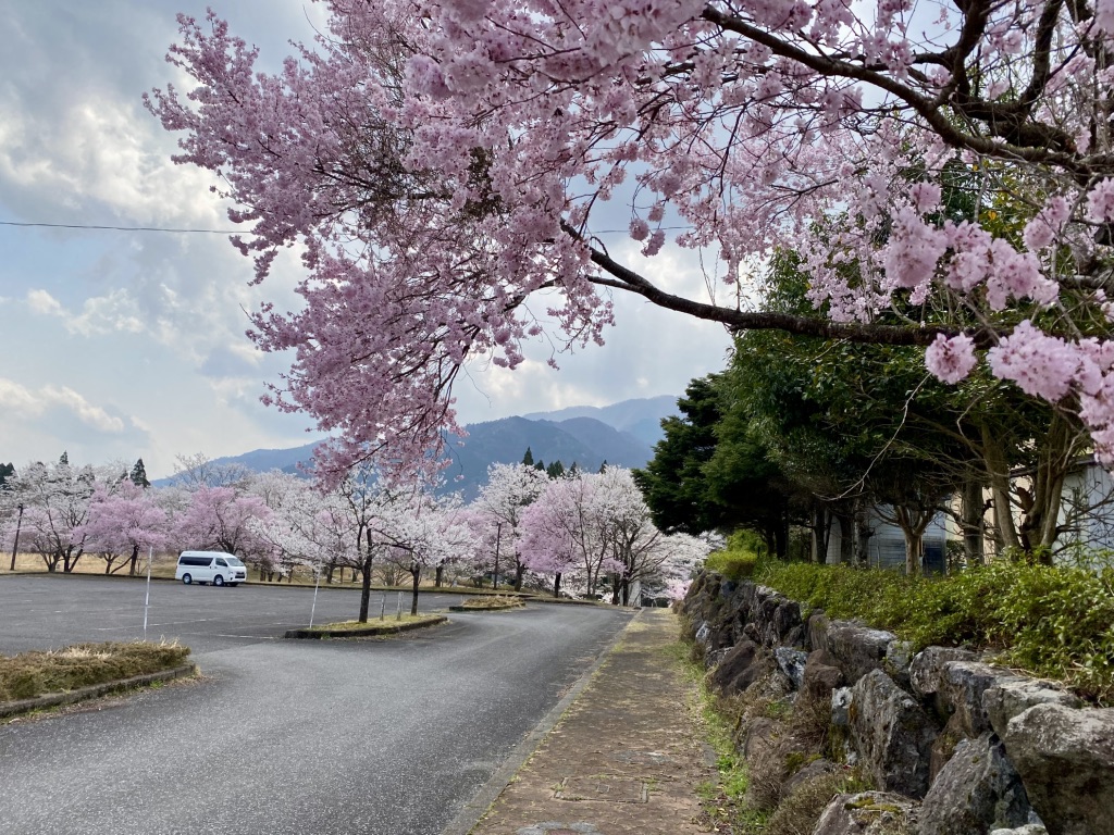 道の駅 うすずみ桜の里・ねおの写真