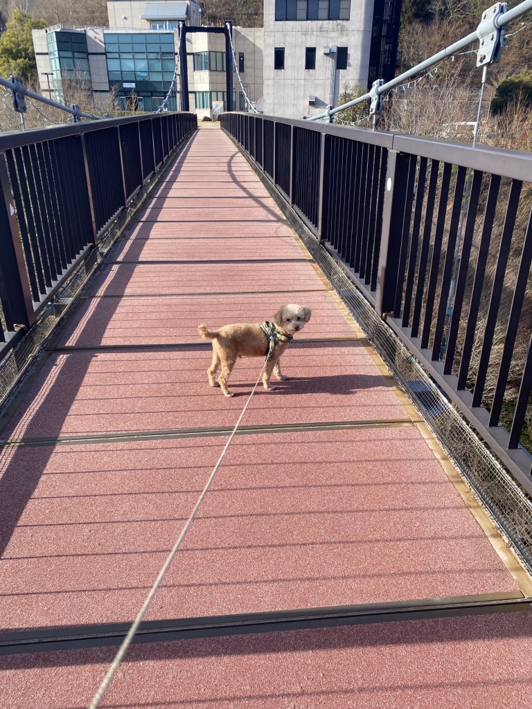 道の駅 おばあちゃん市・山岡の写真