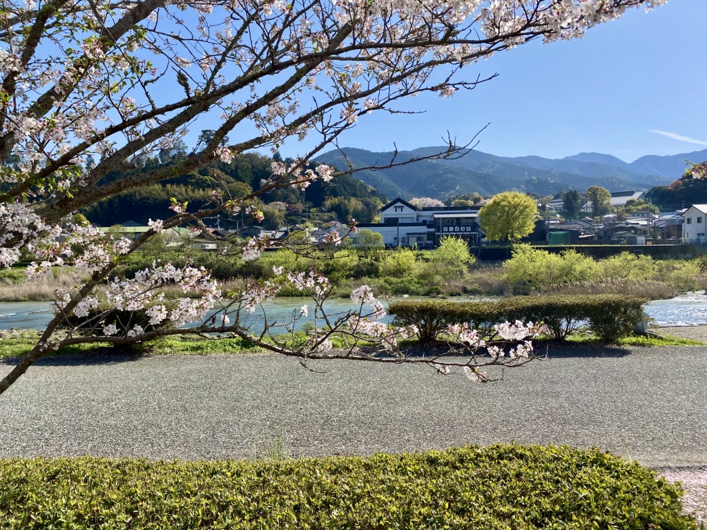 道の駅 虹の森公園まつのの写真