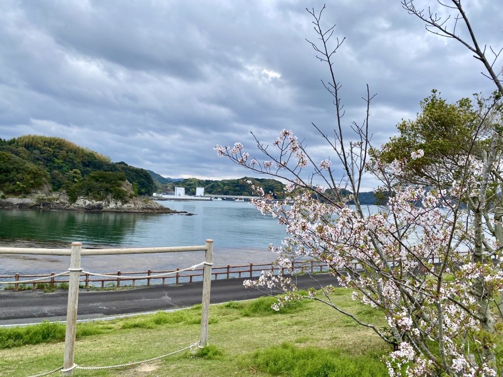道の駅 すくもサニーサイドパークの写真