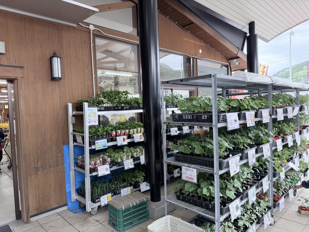 道の駅 どんぶり館の写真