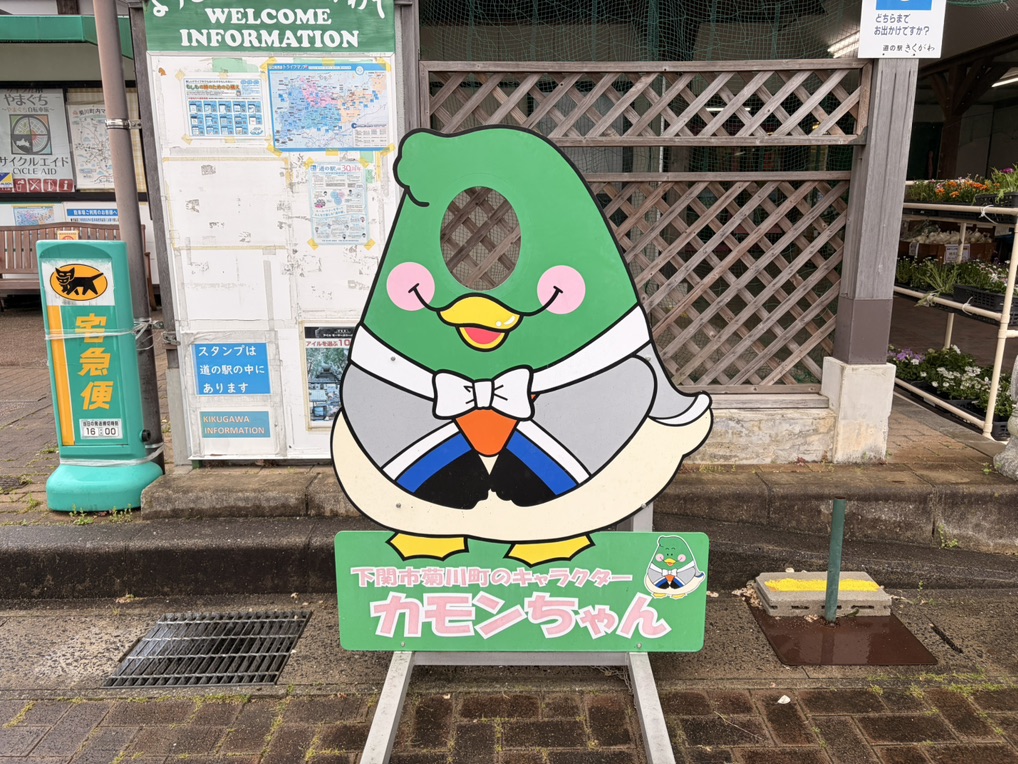 道の駅 きくがわの写真