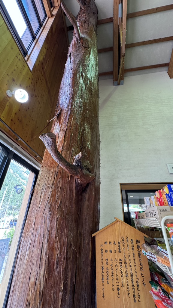 道の駅 南飛騨小坂の写真