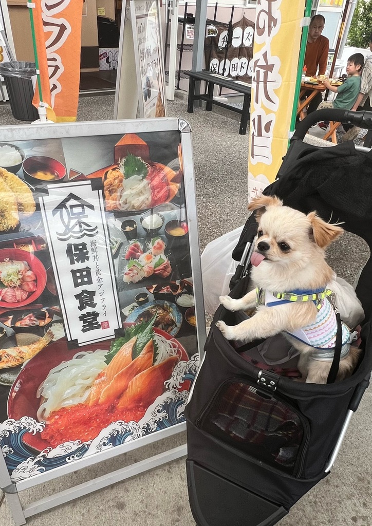 道の駅 保田小学校の写真