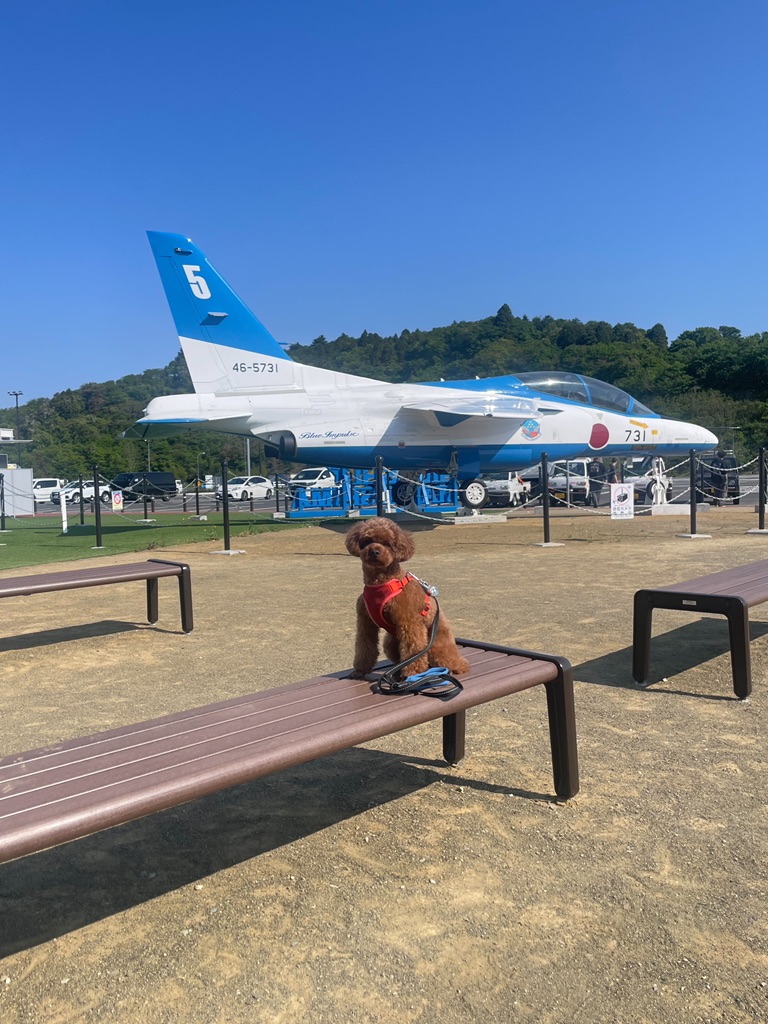 道の駅 東松島の写真