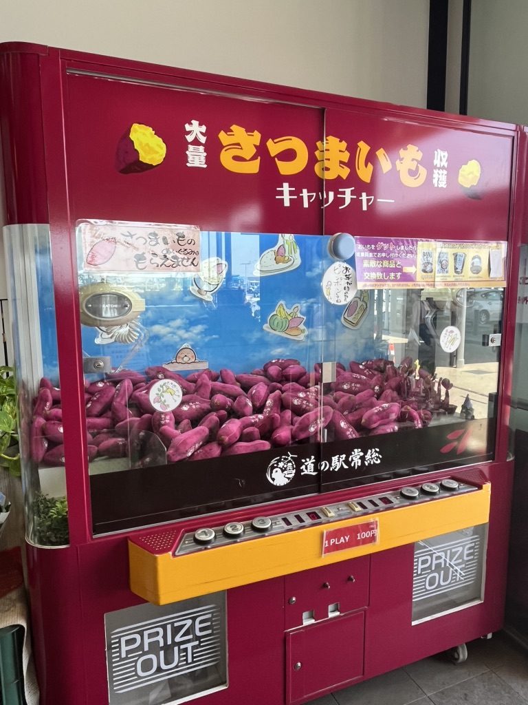 道の駅 常総の写真