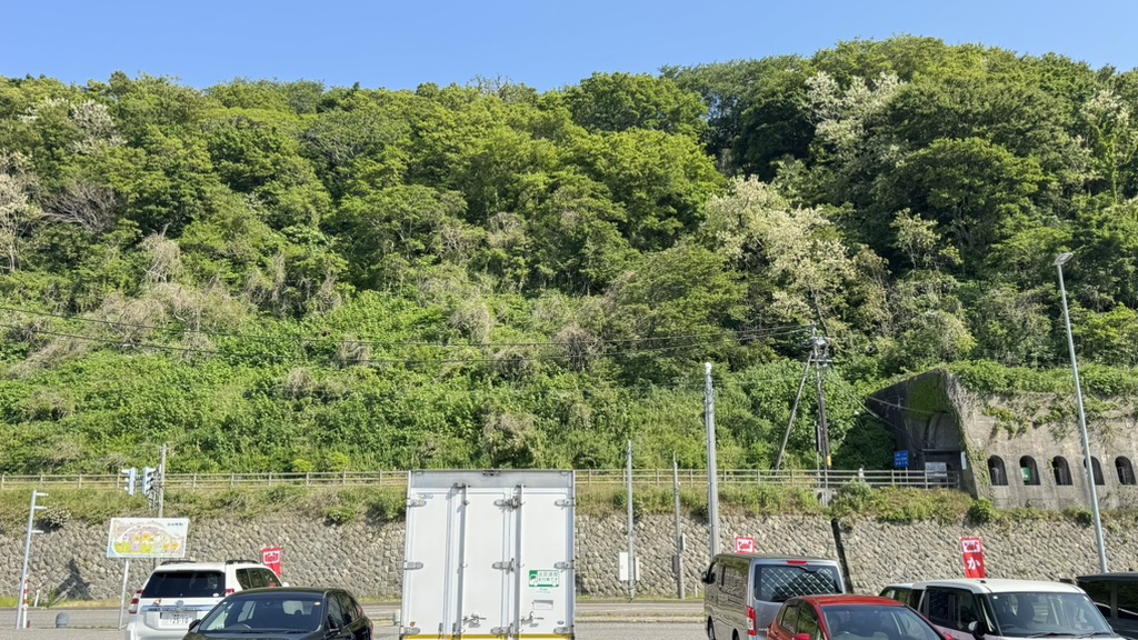 道の駅 能生の写真