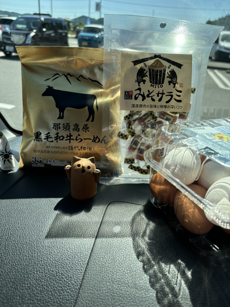 道の駅 やいたの写真