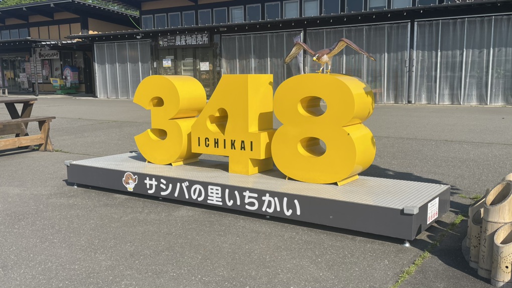 道の駅 サシバの里いちかいの写真