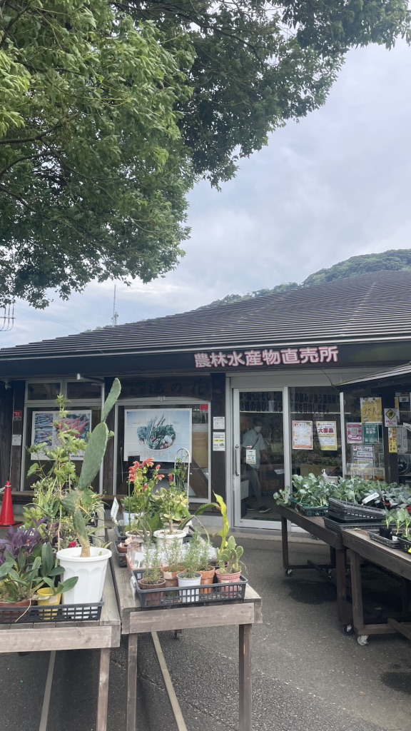 道の駅 下賀茂温泉　湯の花の写真