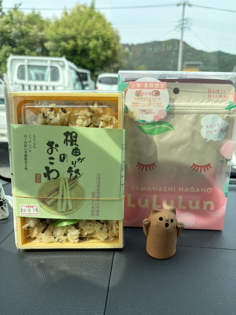 道の駅 北信州やまのうちの写真