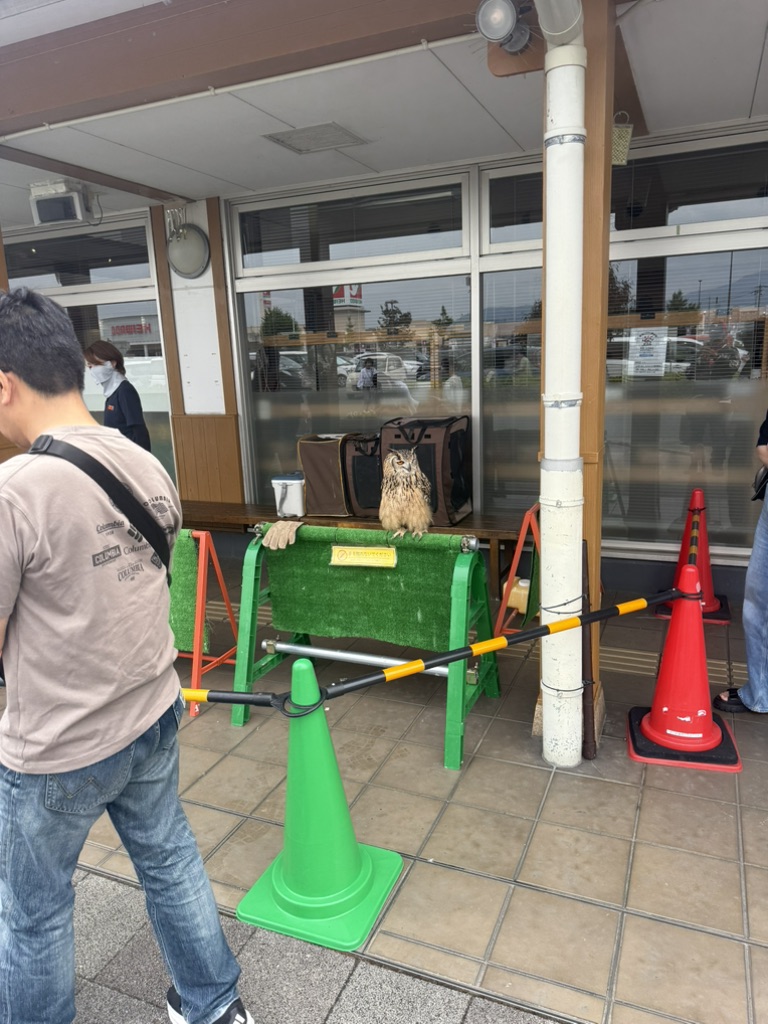 道の駅 藤樹の里あどがわの写真