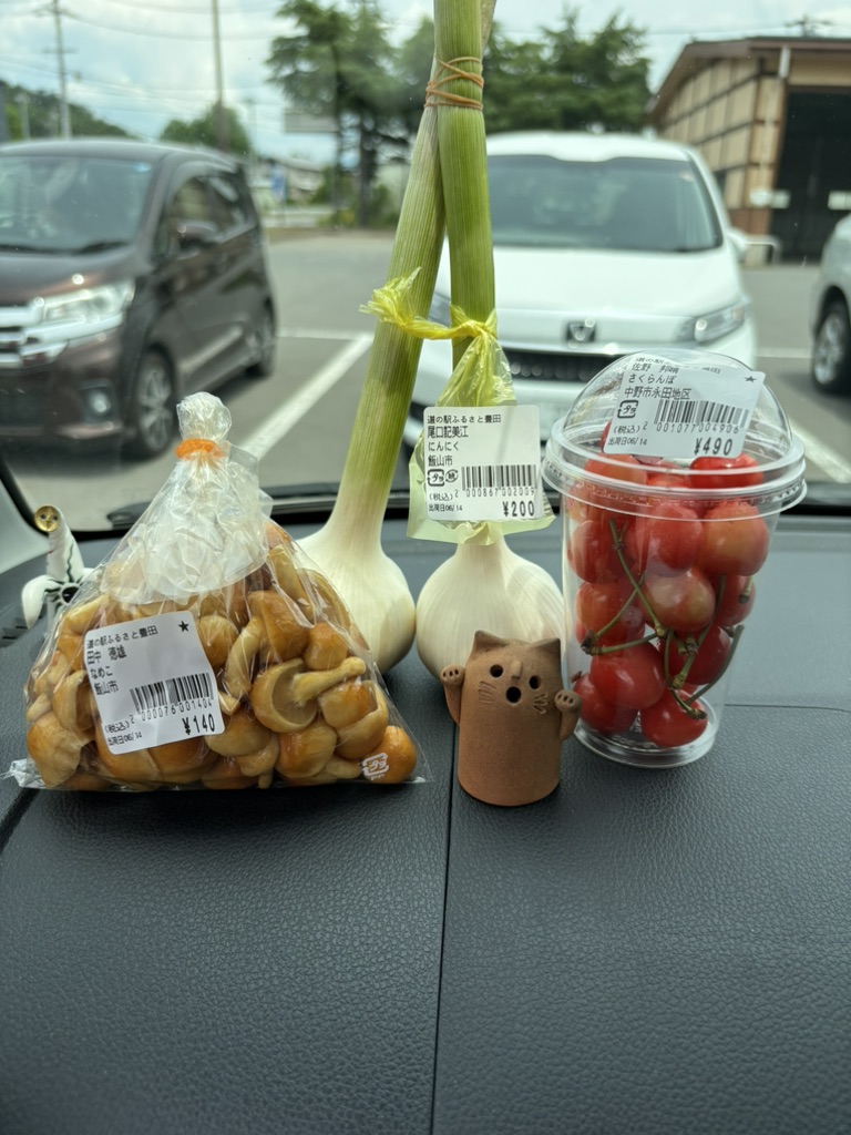 道の駅 ふるさと豊田の写真