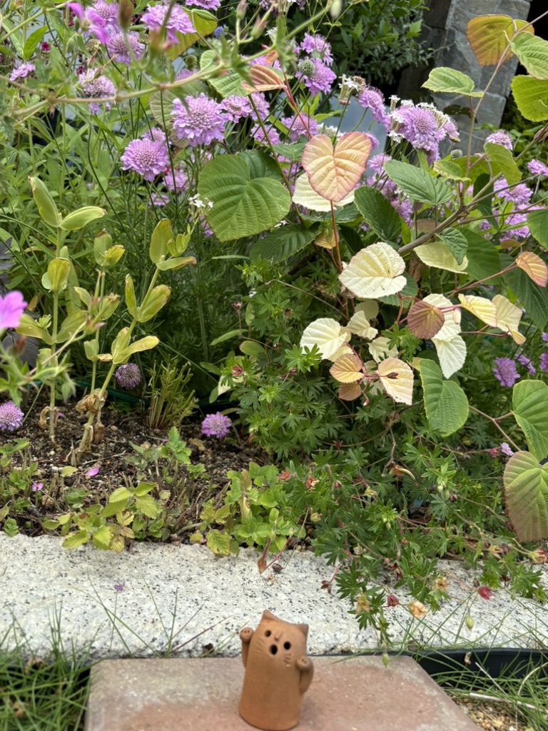 道の駅 花の駅 千曲川の写真