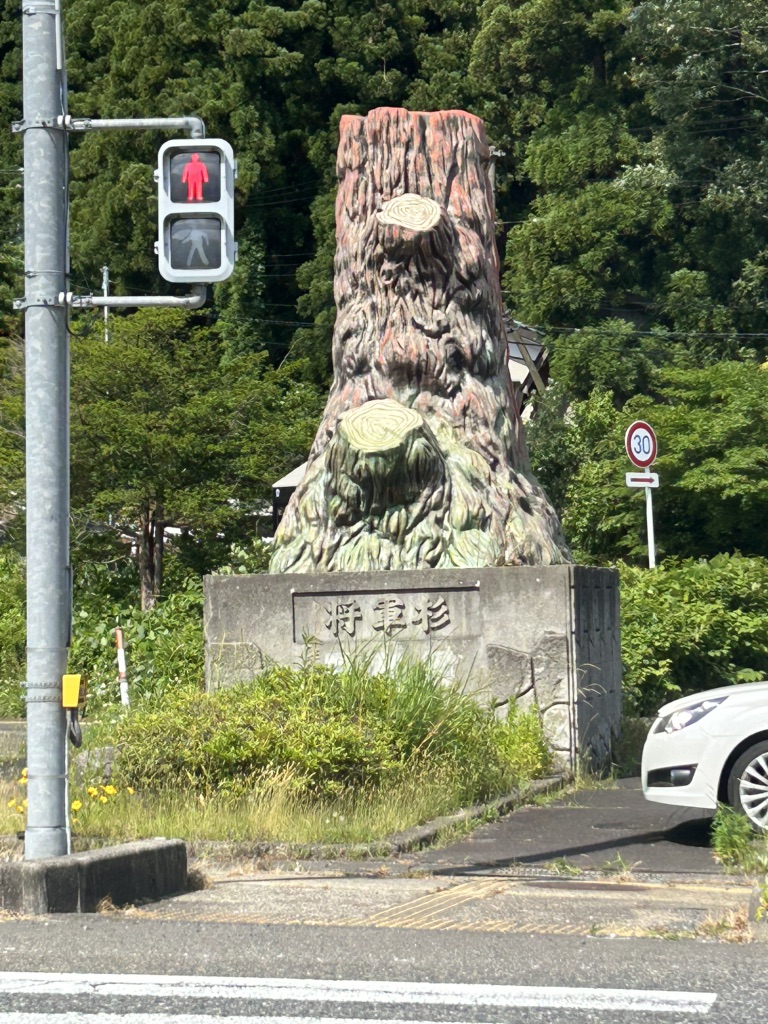 道の駅 みかわの写真