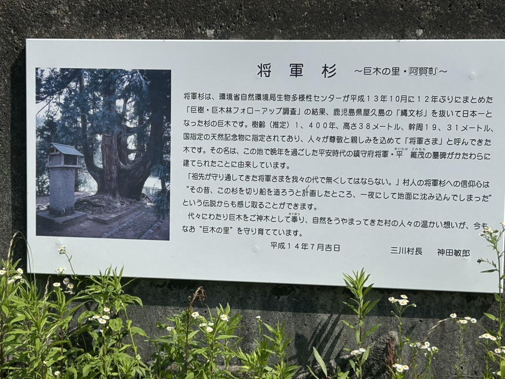 道の駅 みかわの写真