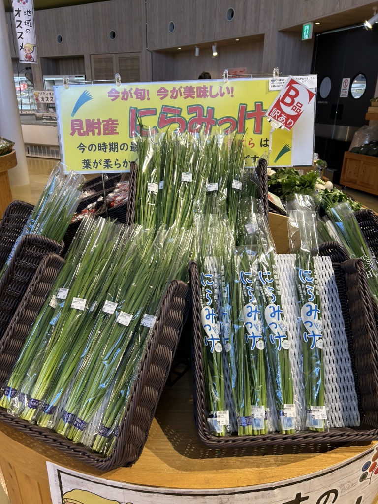 道の駅 パティオにいがたの写真