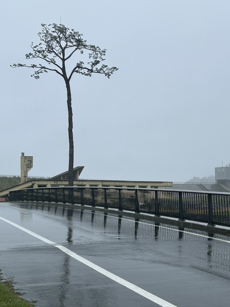 道の駅 高田松原の写真