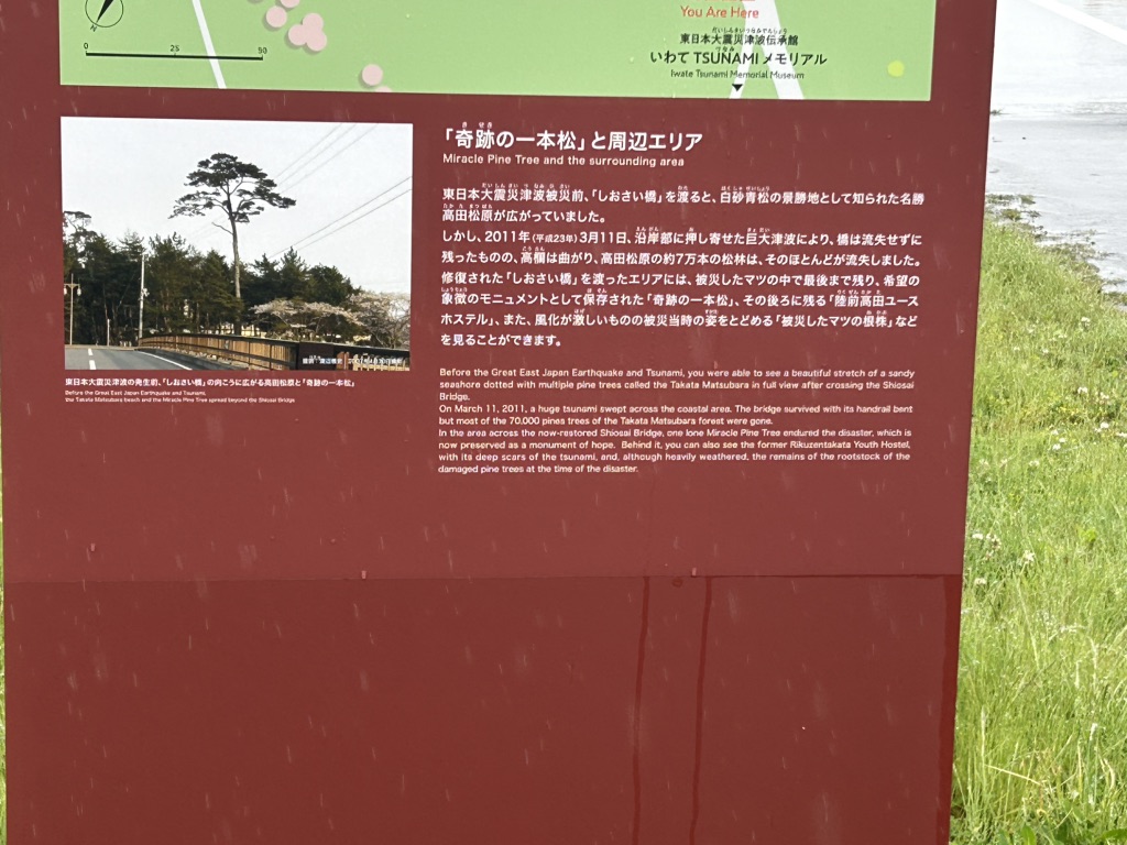 道の駅 高田松原の写真