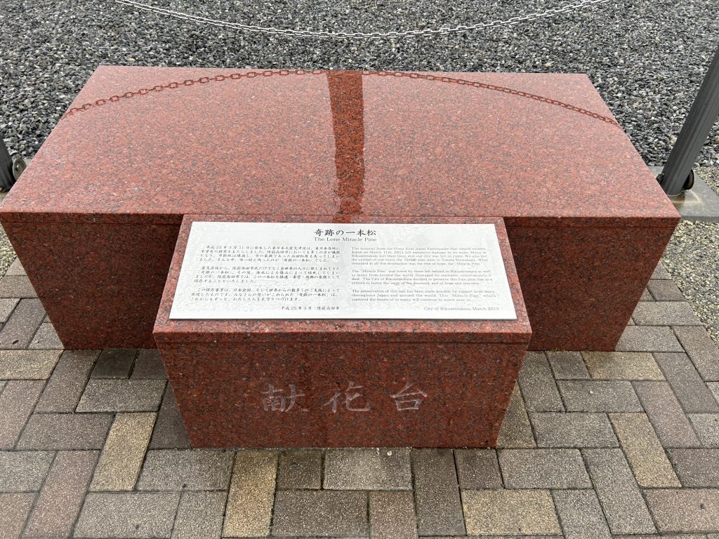 道の駅 高田松原の写真