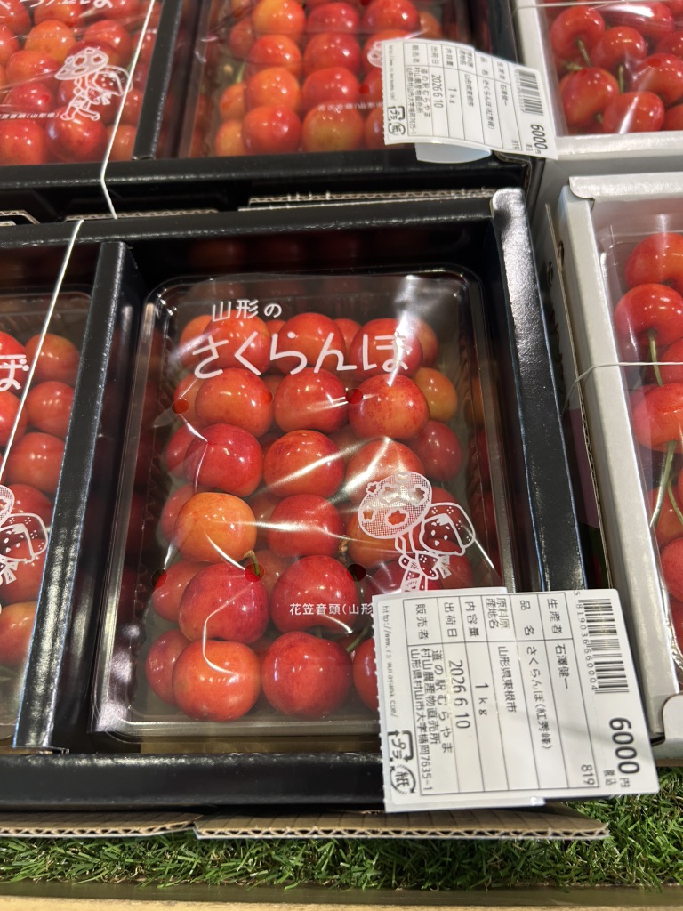 道の駅 むらやまの写真