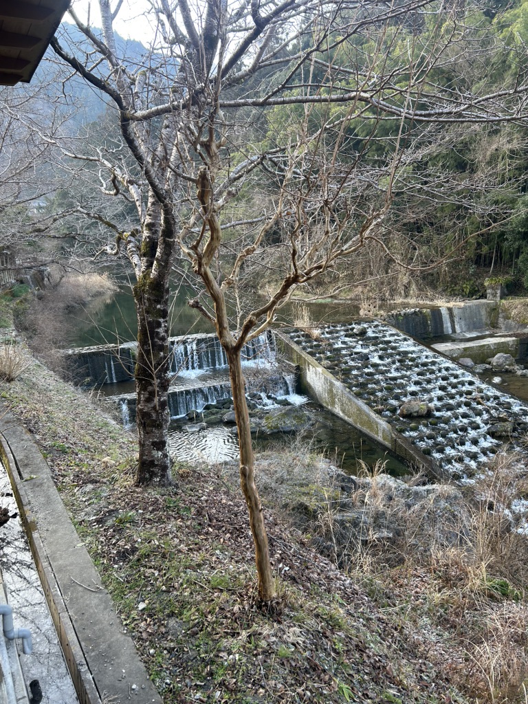 道の駅 小田の郷せせらぎの写真