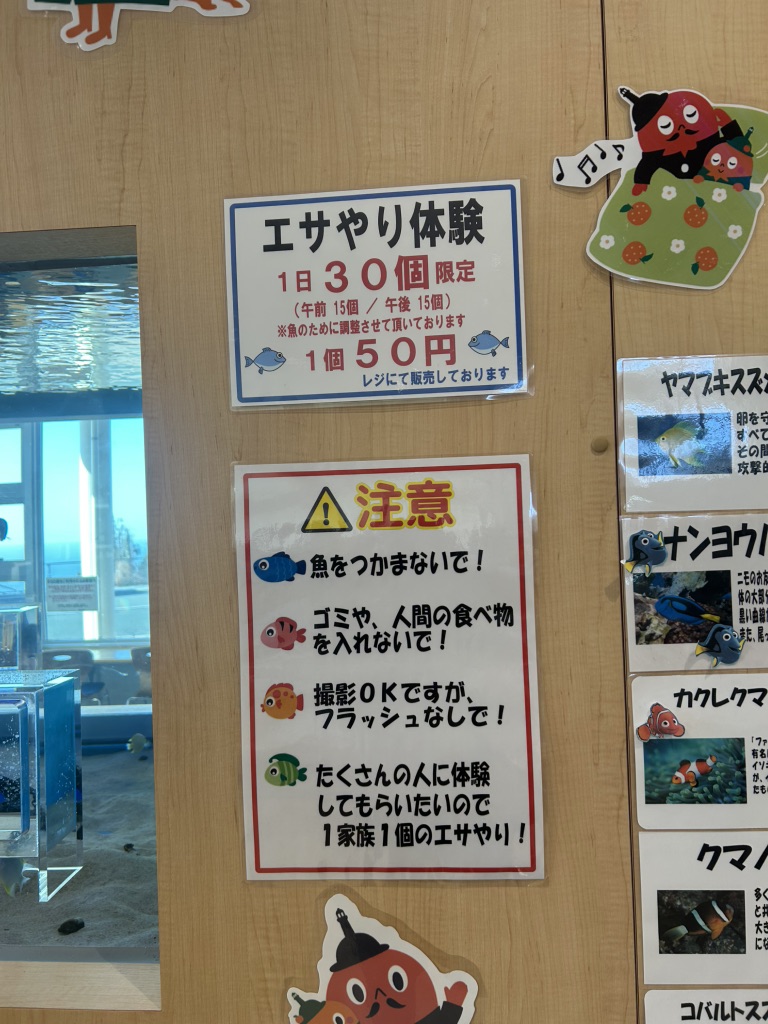 道の駅 伊方きらら館の写真