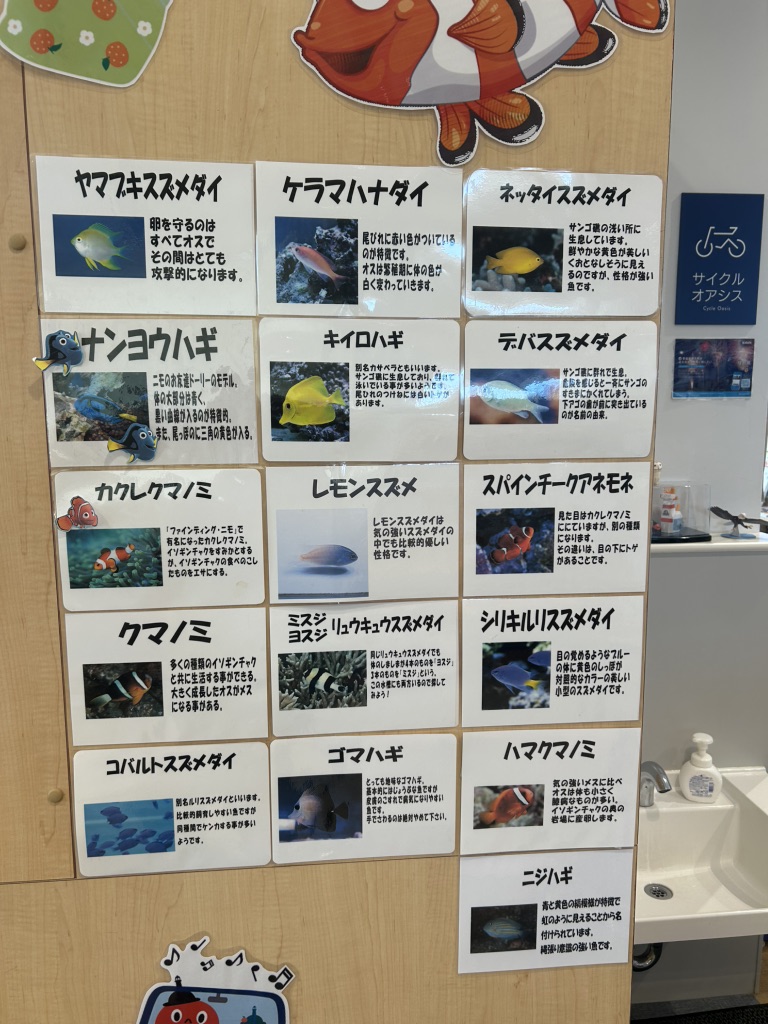 道の駅 伊方きらら館の写真