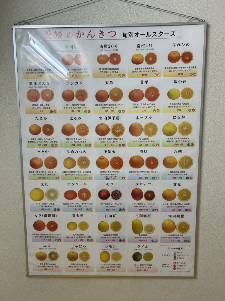 道の駅 伊方きらら館の写真