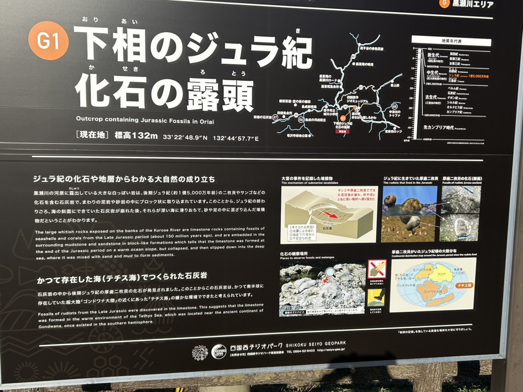 道の駅 きなはい屋しろかわの写真